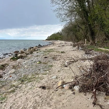 Rinkenaeshus A Гростен